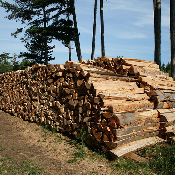 Beech FireWood